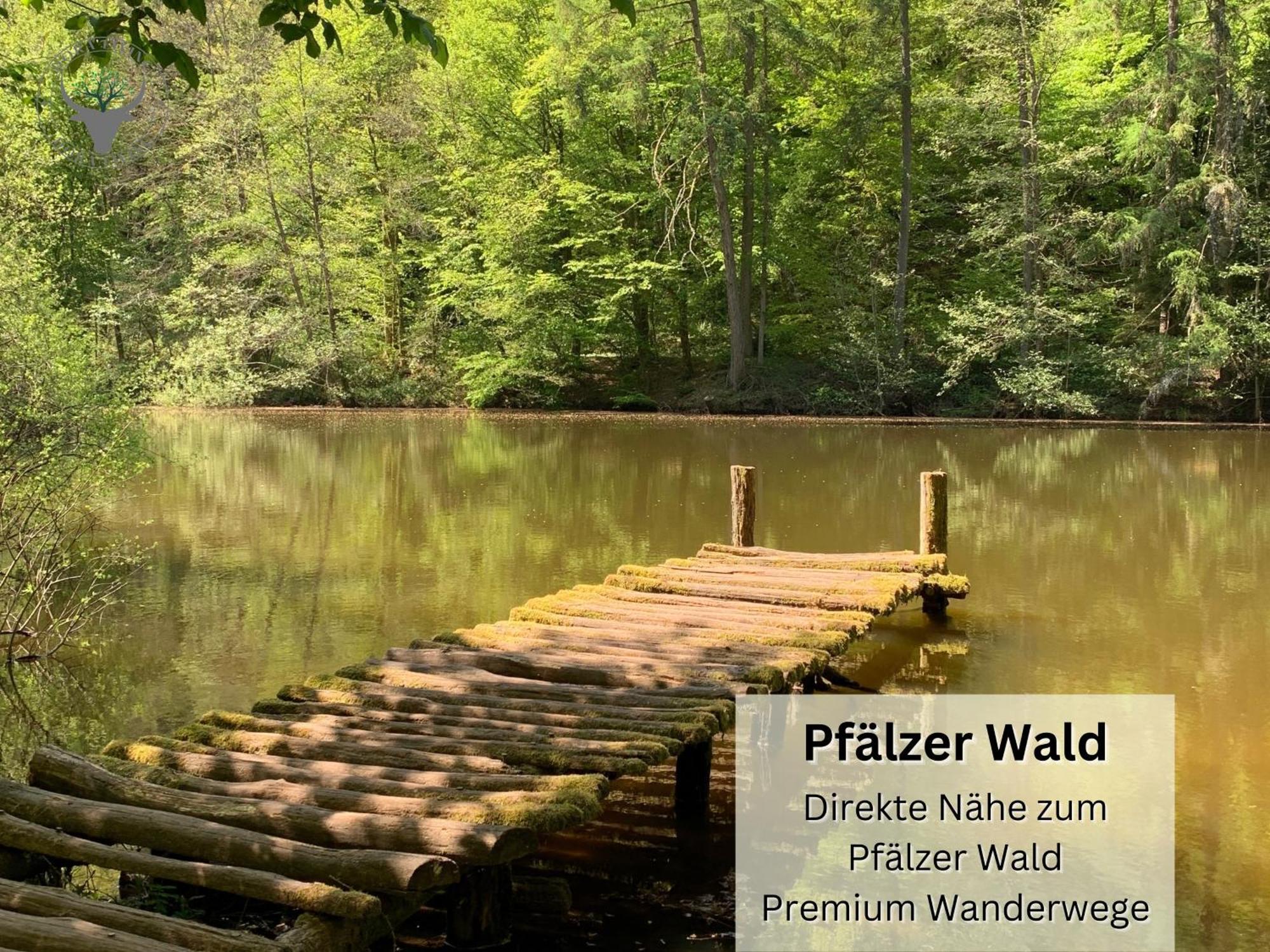 Apartament Schuhpartment Am Pfaelzer Wald Naehe Outlet Center Zweibruecken Pirmasens Zewnętrze zdjęcie